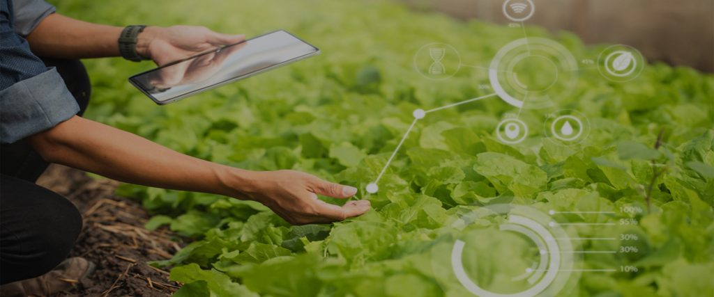 Implementation of Digital Farming Solution & Mobile App