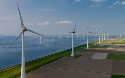 Track and Trace Digital Authentication System: End-to-End Product Verification for FMCG Brands