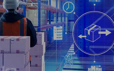 PPWR (Packaging and Packaging Waste Regulation) Forces Global Brands to Adopt Digital Packaging Intelligence