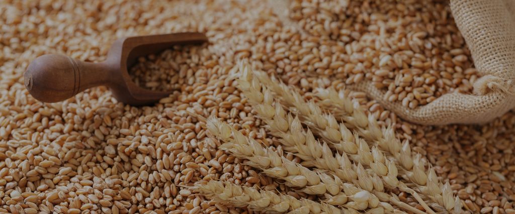 ASTRA: Analytics-led Sourcing Transformation for Wheat Procurement